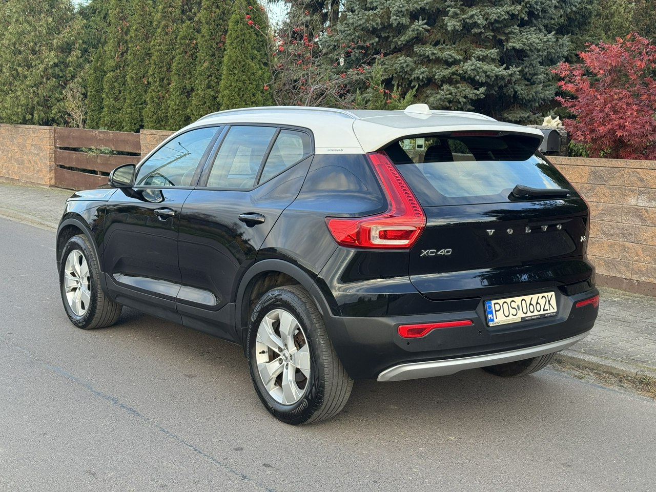 6061515 z6 1771619018 fb445976