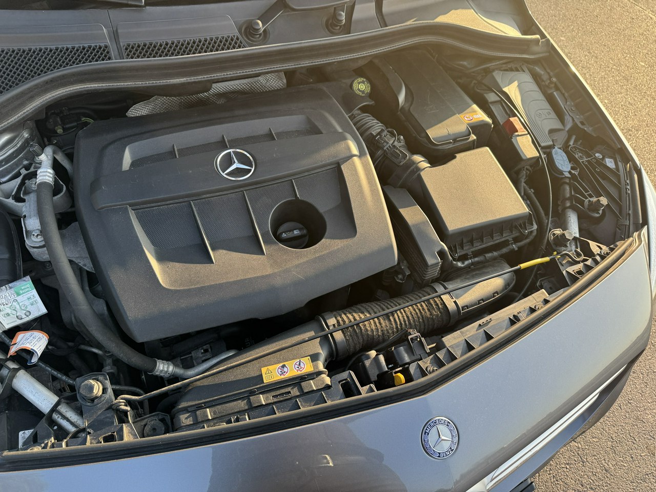 6117497 z26 1774386448 ad03c11b